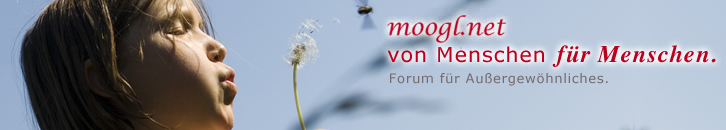 moogl.net – von Menschen für Menschen
