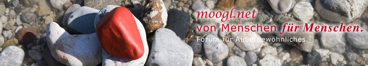 moogl.net – von Menschen für Menschen